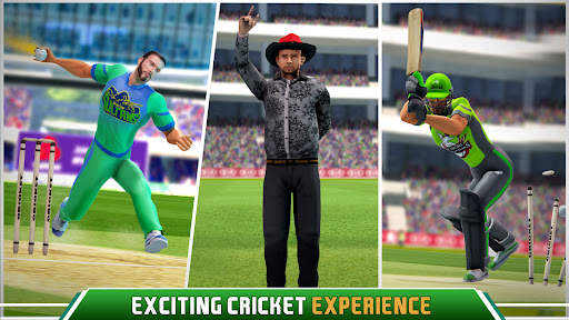 Campionato pakistan di cricket screenshot 2