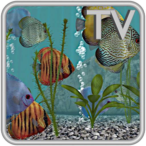 Discus Fish Aquarium TV - 3D Freshwater Tank App