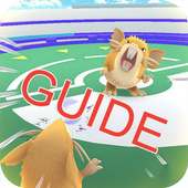 Guide New for Pokemon Go.
