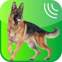 Dog Whistle, Trainer on 9Apps