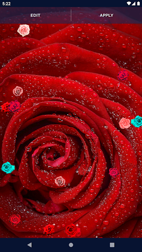 Red Rose 4K Live Wallpaper screenshot 6