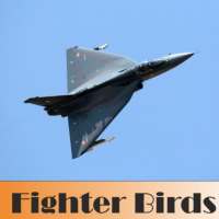 Fighter Birds on 9Apps