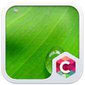 Green Water Drop Theme on 9Apps
