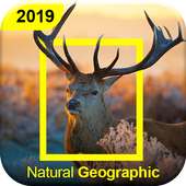 Natural Geographic on 9Apps