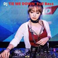 DJ TIE ME DOWN  Full Bass Offline