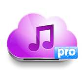 Music Downloader