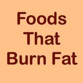 FOODS THAT BURN FAT on 9Apps