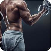 Biceps Workout At Home on 9Apps