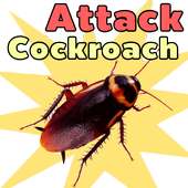 Cockroach Attack