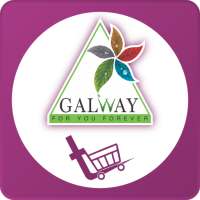 Galwaykart