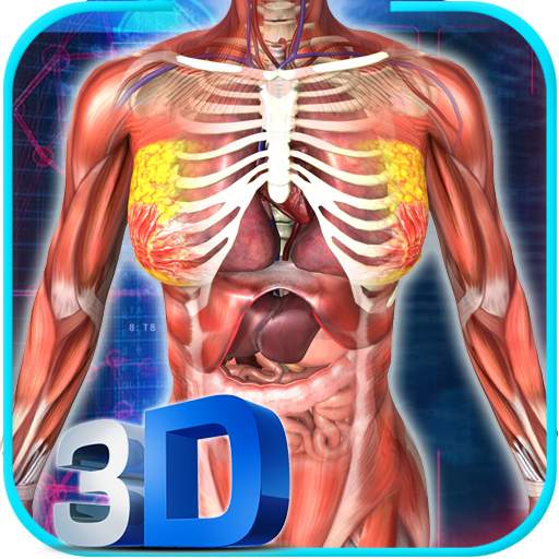 Female Anatomy 3D : Female Body Visualizer