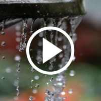 Drop Water Video Live Wallpaper