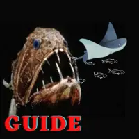 Guide for Feed Fish and Grow Tips 2021 APK Download 2023 - Free - 9Apps