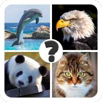 Animals quiz - guess animal