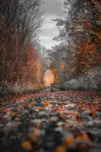 CB Background Free HD Wallpaper Images Themes APK Download 2023 - Free - 9Apps CB Background Free HD Wallpaper Images Themes APK Download 2023 - Free - 9Apps