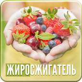 Жиросжигатель on 9Apps