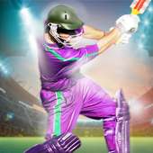Indian Cricket Game: T20 Premier League 2019