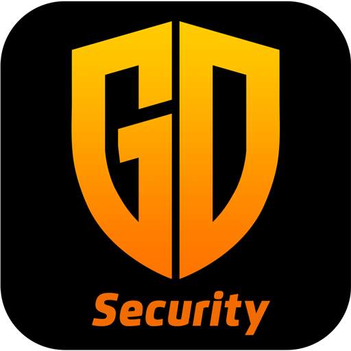Go Security