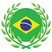 Brazil Soccer LIVE - Results