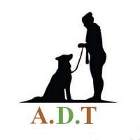 Advanced Dog Training on 9Apps