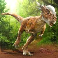Pachycephalosaurus Simulator on 9Apps