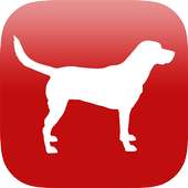 Dog Breed Identifier Camera AR on 9Apps
