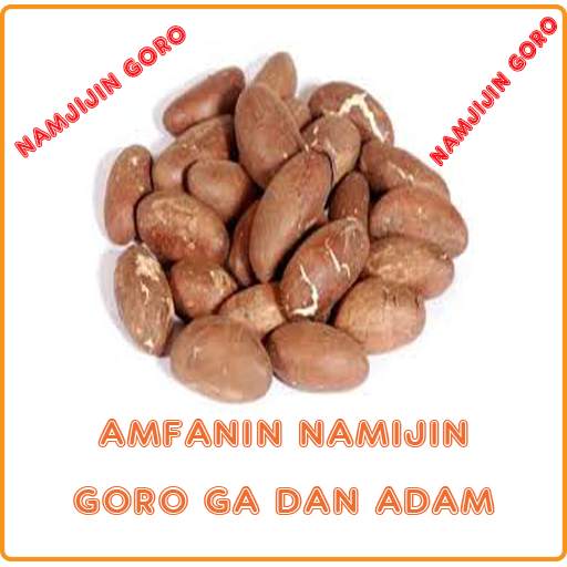 Amfanin Namijin Goro