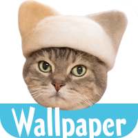 Wallpaper: Cats' Hair Hats on 9Apps
