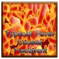 Typhoid Fever Treatment And Diet Help on 9Apps