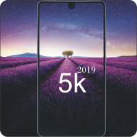 5000   HD Wallpaper Download 2019