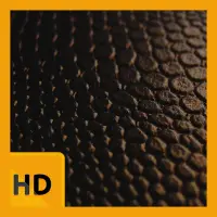 Leather Repair Patch Review 2021 - Easy, Durable and Waterproof