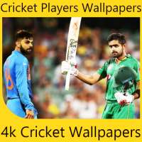 Cricket Wallpaper HD - Cricket Players Wallpapers