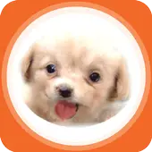 Download do aplicativo 포켓 메이플스토리 공략커뮤니티 2023 - Grátis - 9Apps Download Do Aplicativo 포켓 메이플스토리 공략커뮤니티 2023 - Grátis - 9Apps