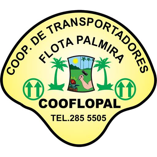 Conductor Flota Palmira