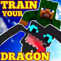 Mod Train Your Dragon Craft 🌚