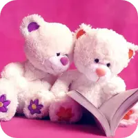 Teddy Bear Wallpapers HD – Apps no Google Play