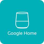 User guide of Google Home