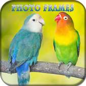 Love Birds photo frames & Parrot, Macaw Birds 2020 on 9Apps