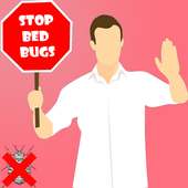 Bed Bugs Bedbugs Stop