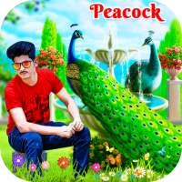 Peacock Photo Editor on 9Apps