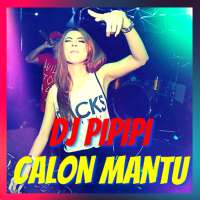 Dj Pi Pi Pi Calon Mantu Remix