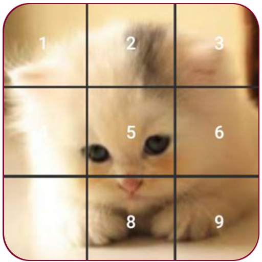 Cat puzzles Jigsaw , Slide ,2048 Puzzle Free Games