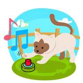 Sound and Picture Animal Quiz