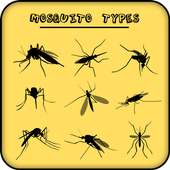 Mosquito types