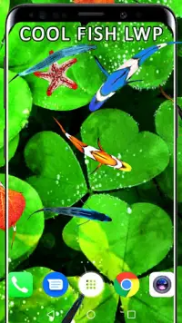 3D Koi Fish Wallpaper HD Fish Live Wallpapers Free APK Download 2023 - Free  - 9Apps