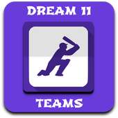Dream 11 Team