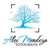 Alex Mendoza