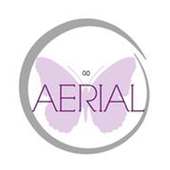 Go Aerial Fitness