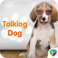 Talking Dog Talk & Funny