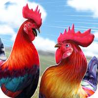 닭 싸움 수탉 Wild Rooster Run